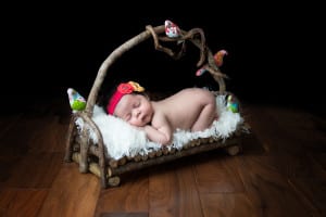 Temecula Newborn Photographer Gretchen Barros Photography Newborn On Branch Bed