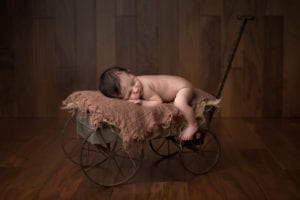 Vancouver_WA_Newborn_Photographer_Gretchen_Barros_Photography_Newborn_On_Wagon