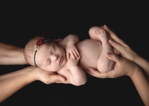 Portland Newborn Photographer Baby in Parents Hands