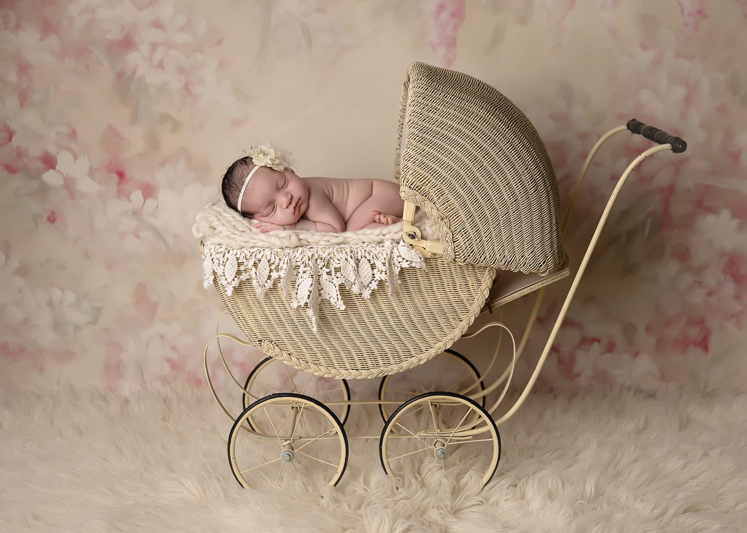 Portland Newborn Photographer baby in antique pram