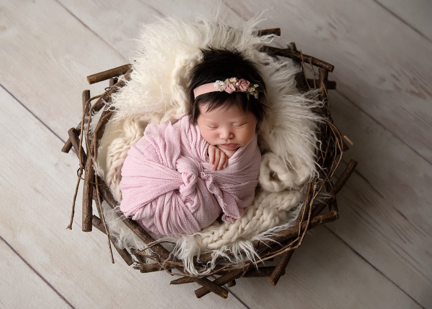Portland Newborn Photographer Newborn in nest