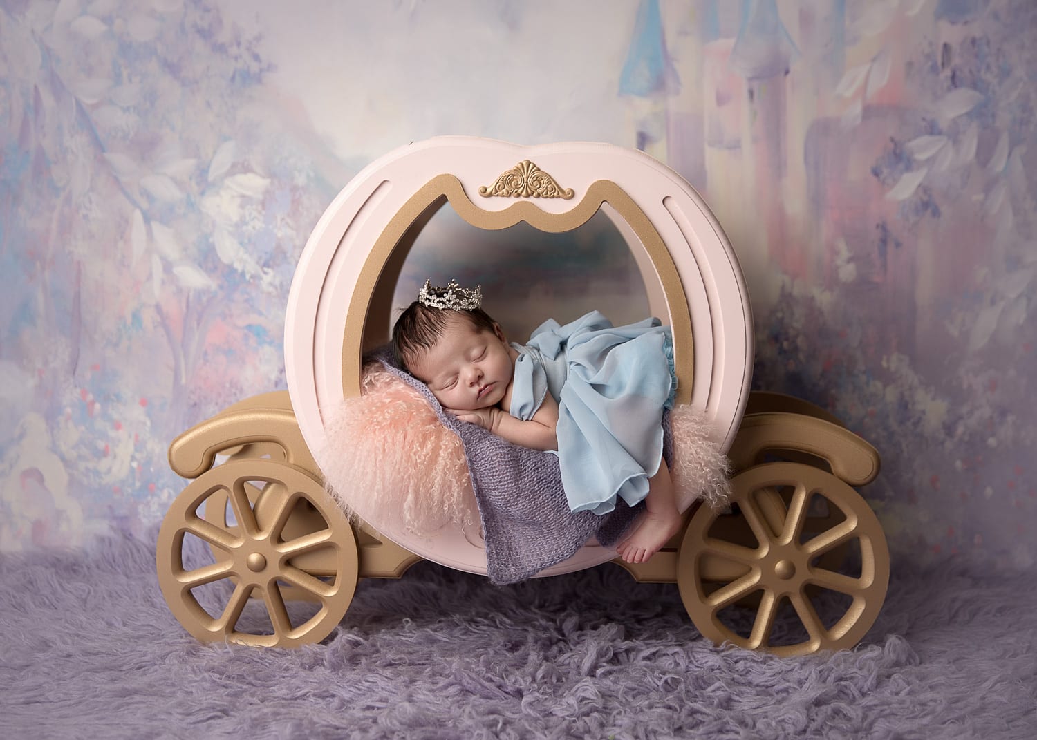 Portland Newborn Photographer Baby in Princess Carriage