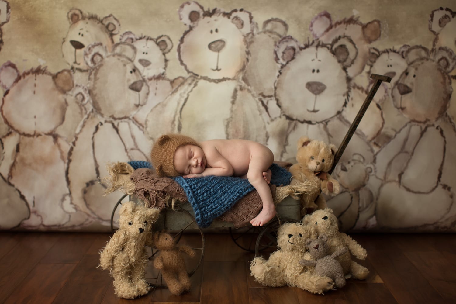 Portland Newborn Photographer Baby with teddy bears