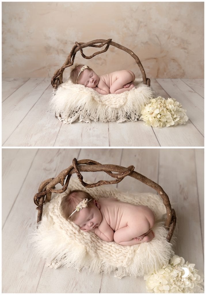 Portland Newborn Baby Photographer Baby in Branch Bed